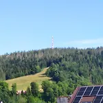 Apartserwis Aparatament Owczywiscie * Zakopane