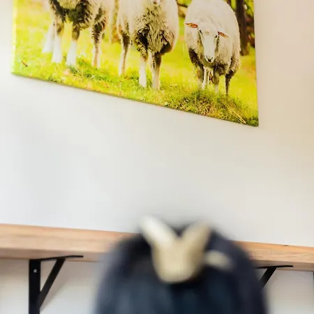 Apartserwis Aparatament Owczywiscie شقة *