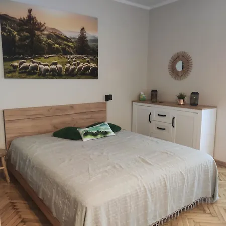 Apartserwis Aparatament Owczywiscie * زاكوباني