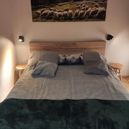 Apartserwis Aparatament Owczywiscie شقة